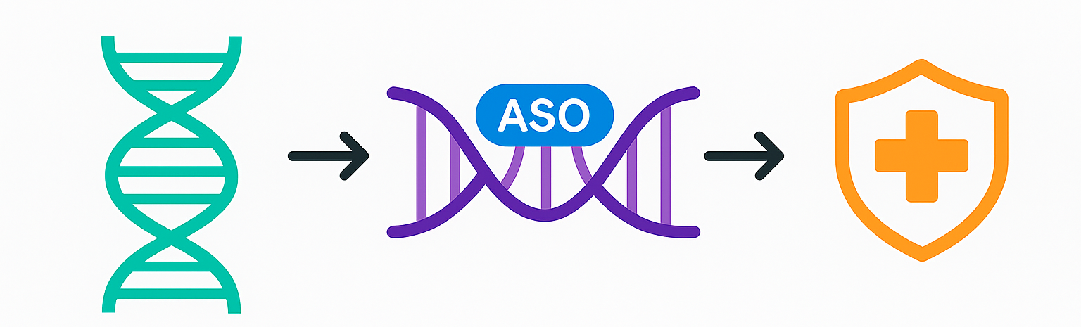 Target gene, ASO binding mRNA, protected cell