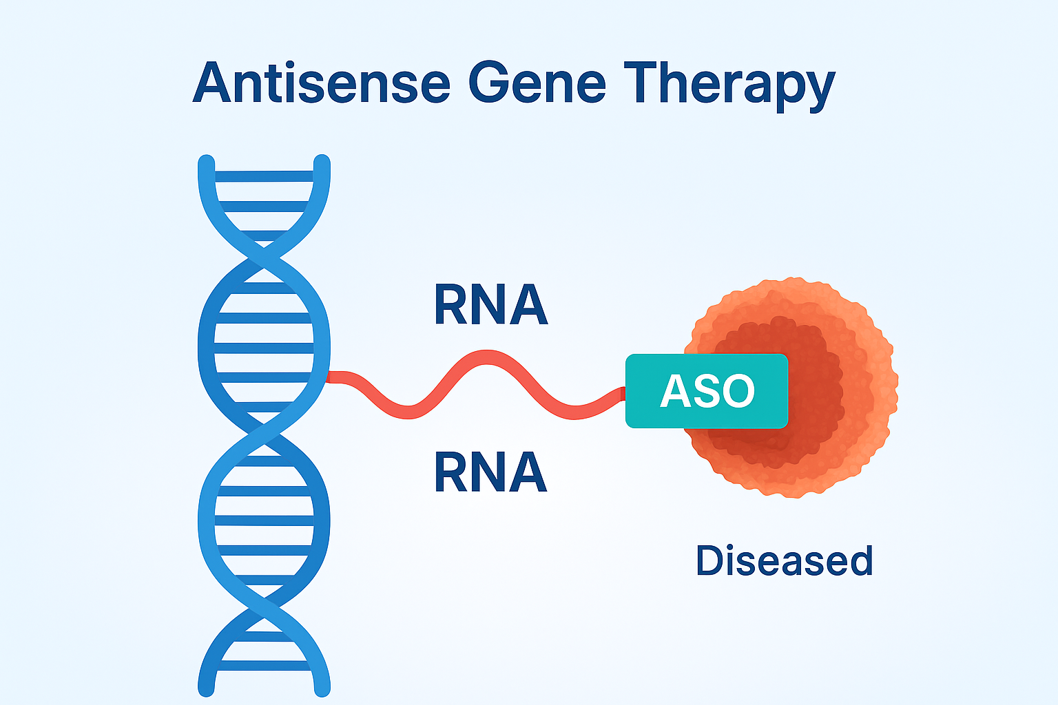 ASO Diagram